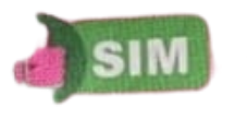 Sim